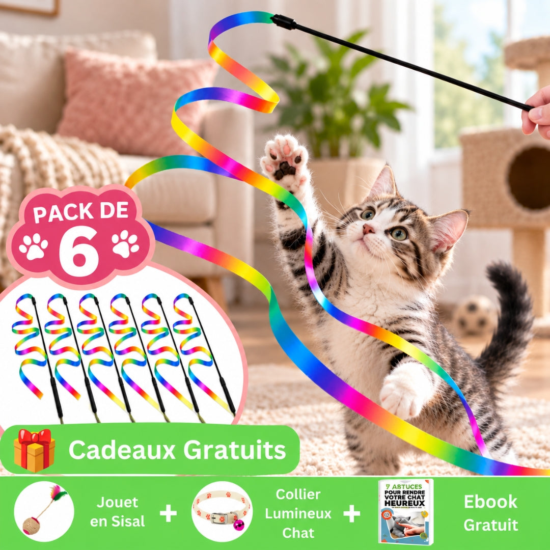 pack 6 offre marketing jouet chat arc-en-ciel magique