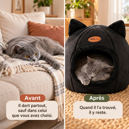 panier chat avant canapé après dôme noir chat gris endormi