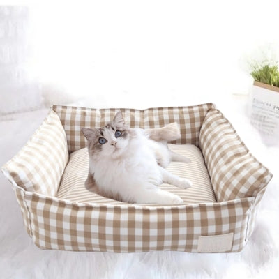 panier chat beige ragdoll en detente dedans dans salon