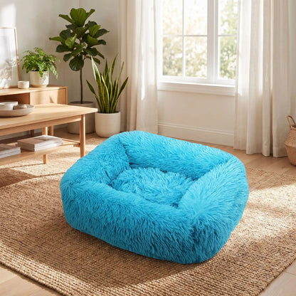 panier chat bleu cyan sur tapis jute salon près fenêtre