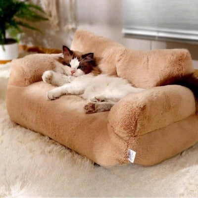 panier chat café mousse chat relaxant dessus