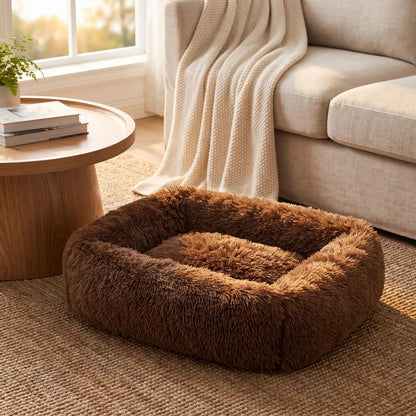 panier chat café sur tapis jute près table basse canapé