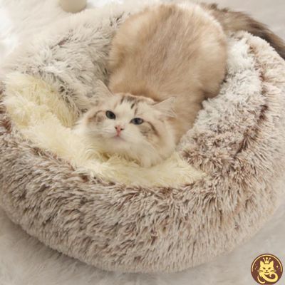 panier chat cloudy dream marron chat detendu paisiblement