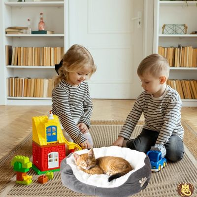 panier chat cocon minou gris chaton endormi avec enfants regardant