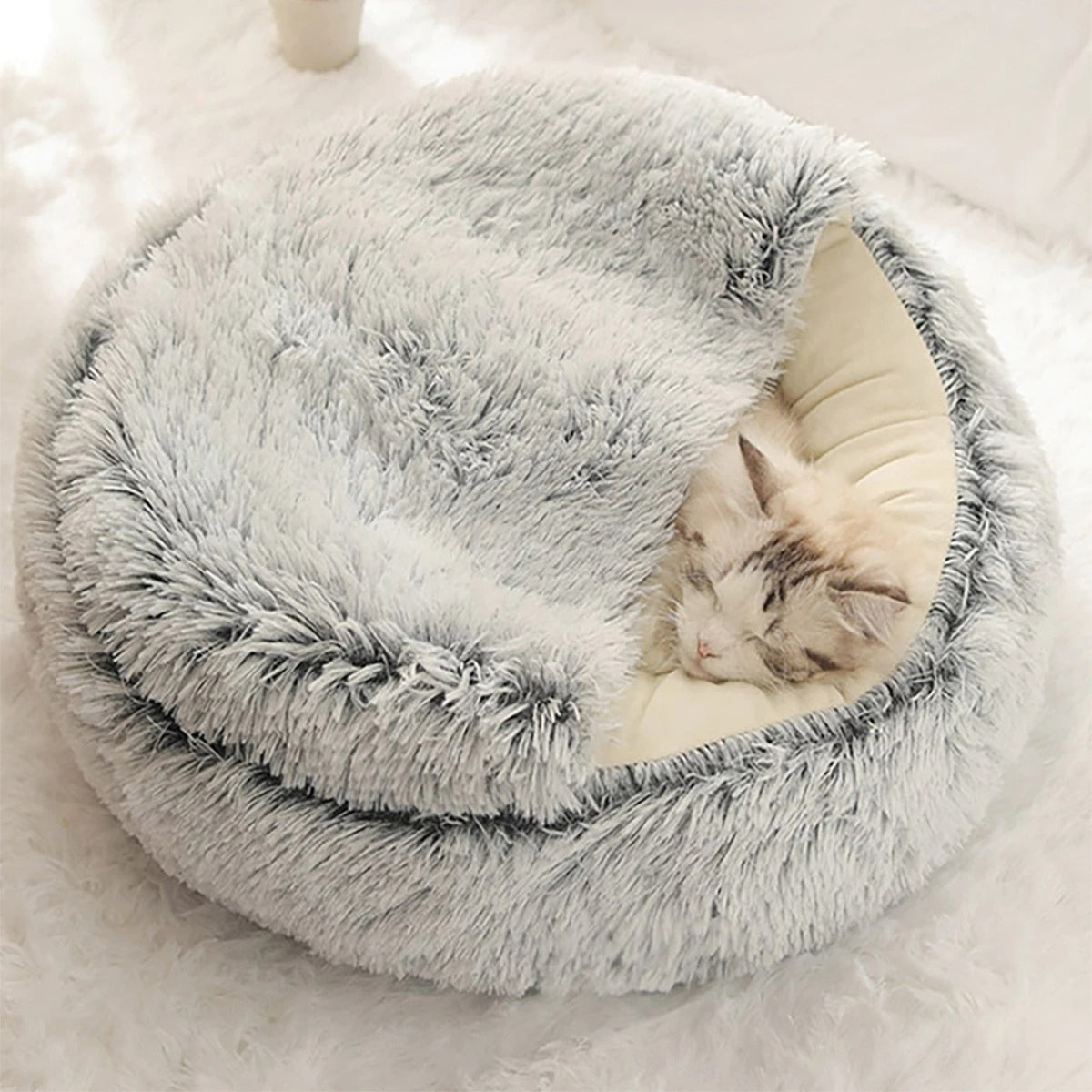 panier chat doux rêveur chat lové dedans