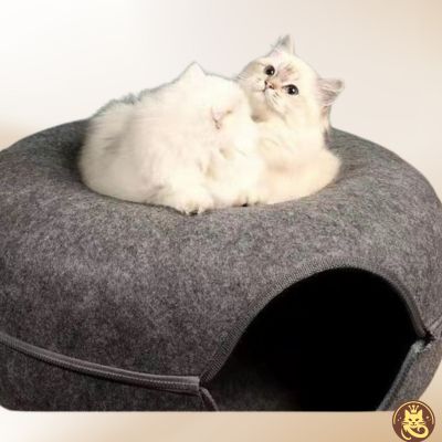 panier chat felty nest gris foncé deux chats relaxant dessus