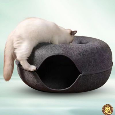 panier chat felty nest gris foncé chat montant dessus