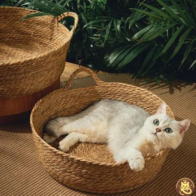 panier chat griff refuge chat blanc relaxant dedans
