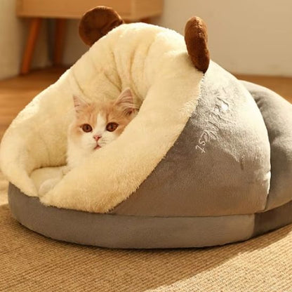 panier chat gris avec chat en observation