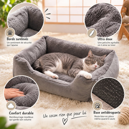 panier chat gris chat endormi sur le côté bénéfices annotés