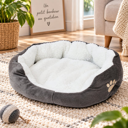 panier chat gris posé sur tapis tressé salon lumineux