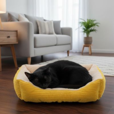 panier chat jaune citron chat relaxant dedans