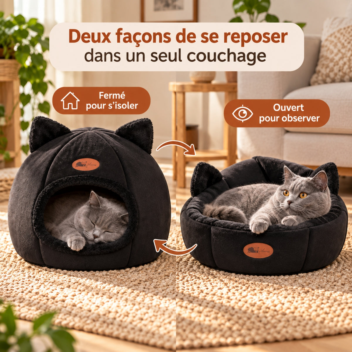 panier chat noir dôme fermé et version ouverte chat gris