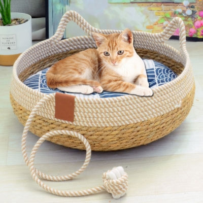 panier chat osier avec coussin bleu chat detendu