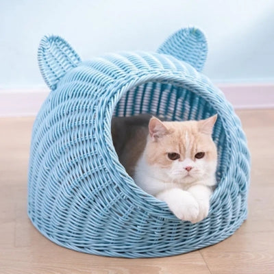 panier chat osier bleu chaton detendu dedans