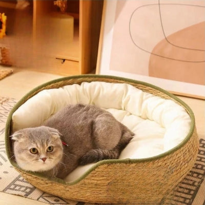 panier chat osier chat couché en boule dedans