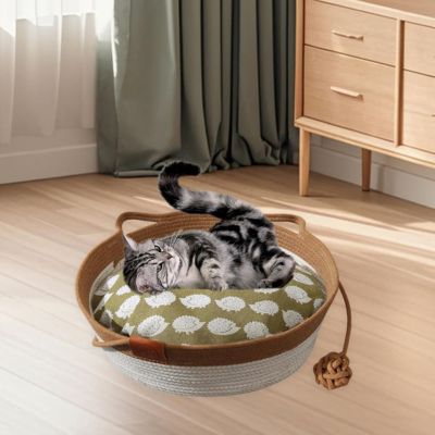 panier chat osier chat enroulé sur dos dessus