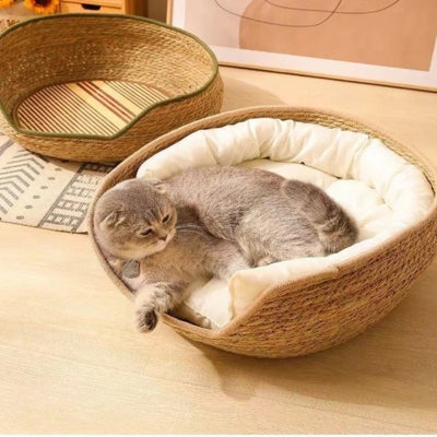 panier chat osier chat lové dedans