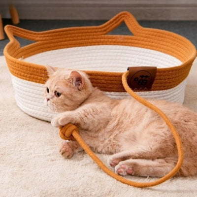 panier chat osier chaton agrippant balle accrochee au panier