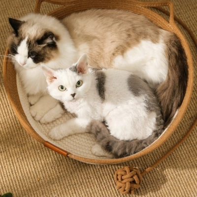 panier chat osier  deux chats detendu ensemble 