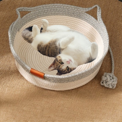 panier chat osier gris chat couché sur dos dessus