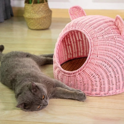 panier chat osier rose chartreux allongé à côté