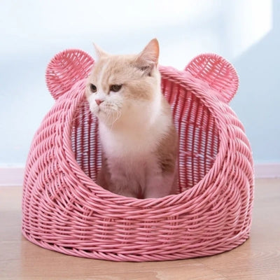 panier chat osier rose chaton observant dedans