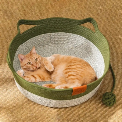 panier chat osier vert chat relaxant