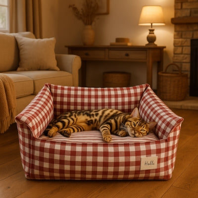 panier chat rouge toyger relaxant paisiblement dedans