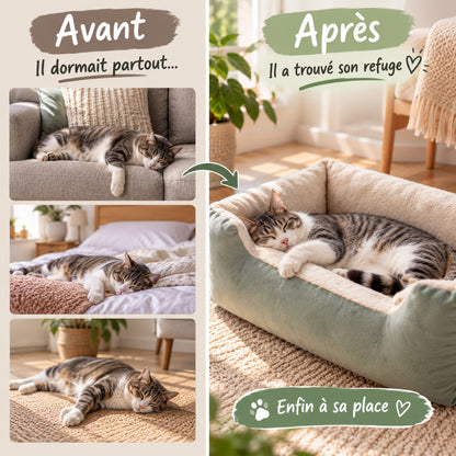 panier chat vert avant aprés dormait partout refuge
