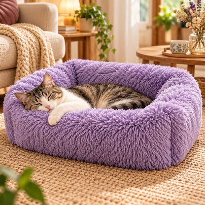 panier chat violet lavande chat tigré blanc endormi sur tapis