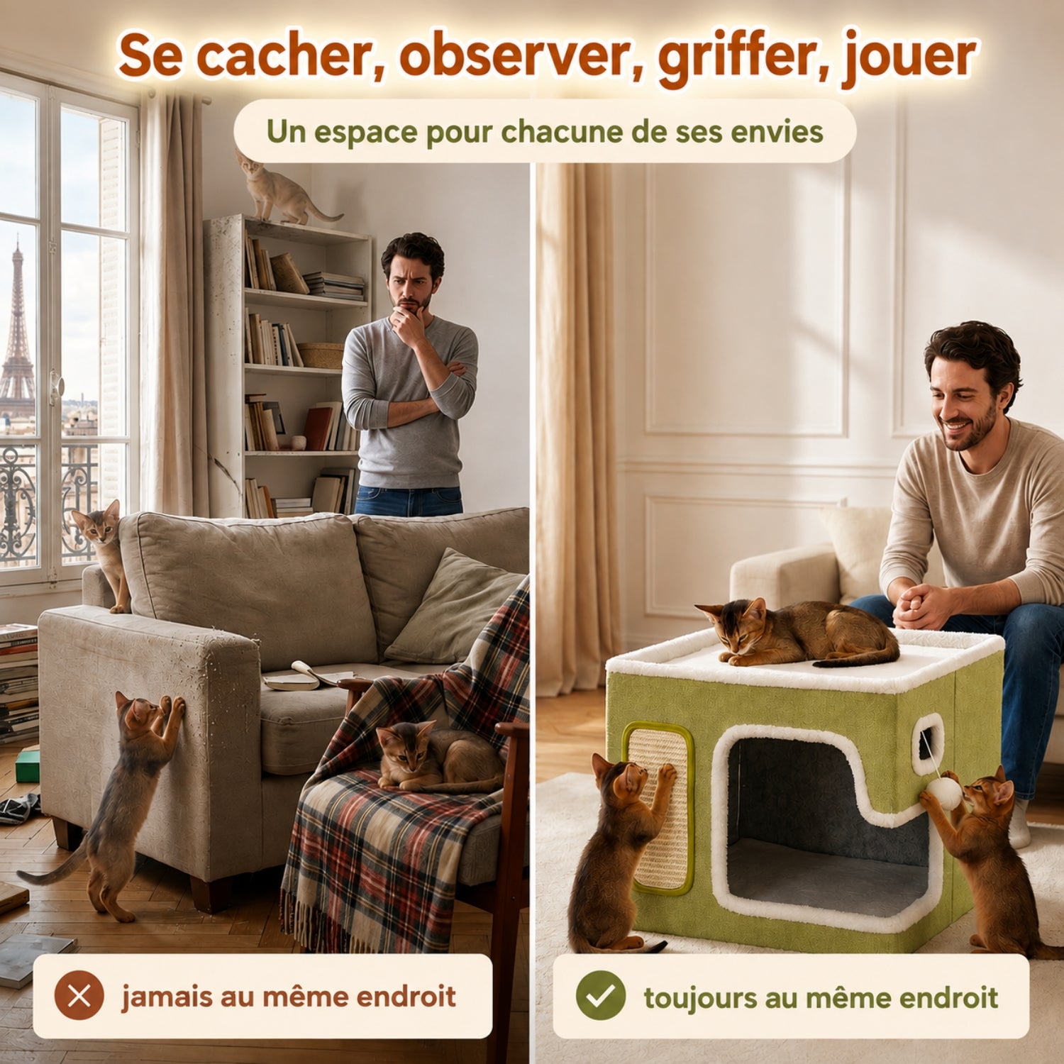 panier chaton abyssin, avant après, quatre envies un endroit