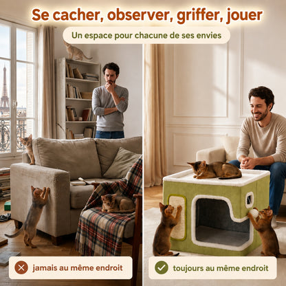 panier chaton abyssin, avant après, quatre envies un endroit