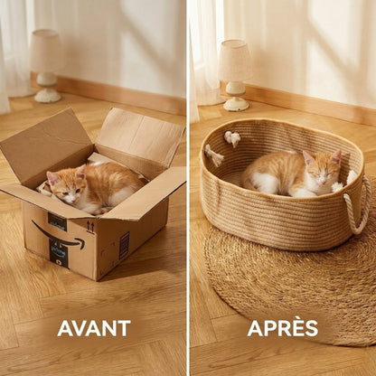 chaton qui délaisse le carton pour dormir dans son panier chaton en corde tressée