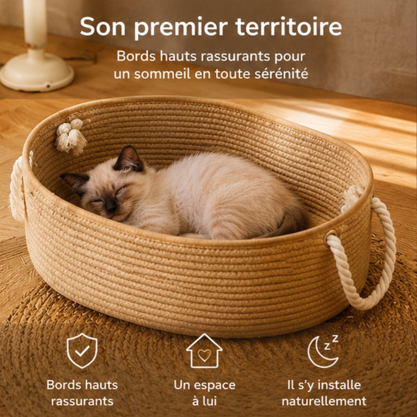 chaton lové dans son panier chaton à bords hauts