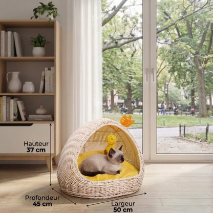 panier chaton dimensions hauteur largeur profondeur 50 45 37 cm