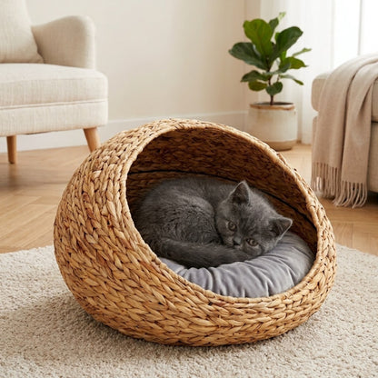 Panier chaton jacinthe d'eau, chaton gris lové dans son coin