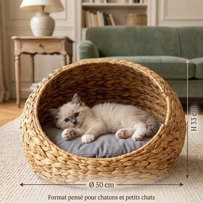 Panier chaton jacinthe d'eau, dimensions 50 cm et 33 cm