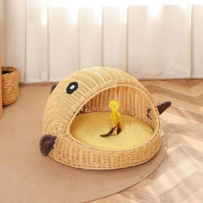 panier chatons dans salon