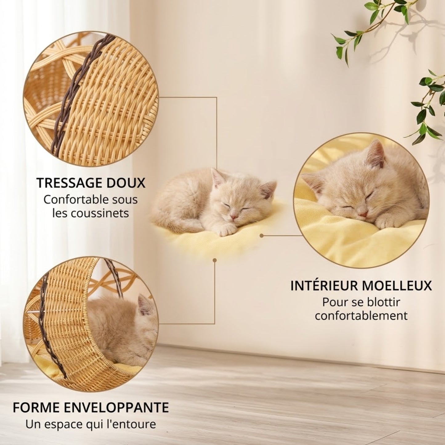panier chatons tressage doux intérieur moelleux forme enveloppante
