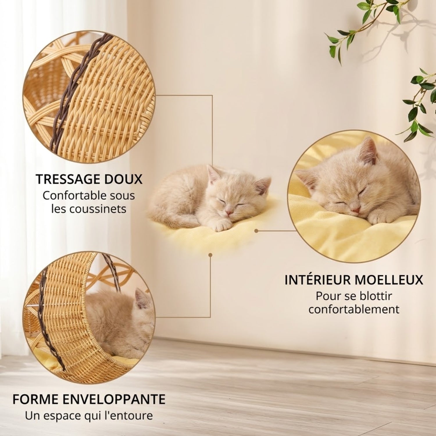 panier chatons tressage doux intérieur moelleux forme enveloppante