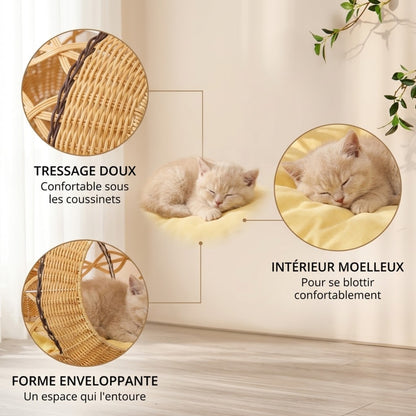 panier chatons tressage doux intérieur moelleux forme enveloppante