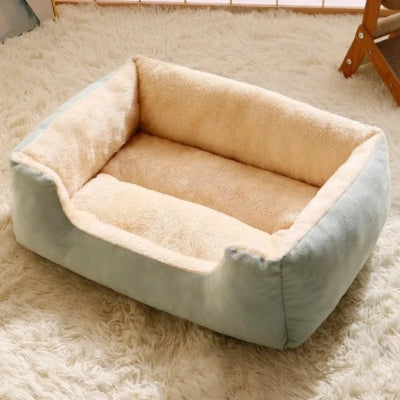 panier coussin chat vert sur tapis blanc