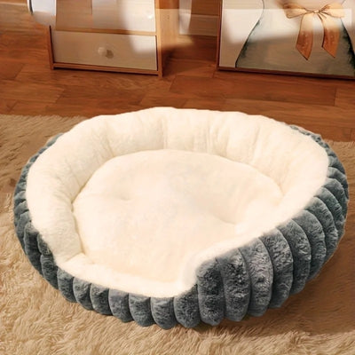 panier grand chat gris sur tapis dans salon