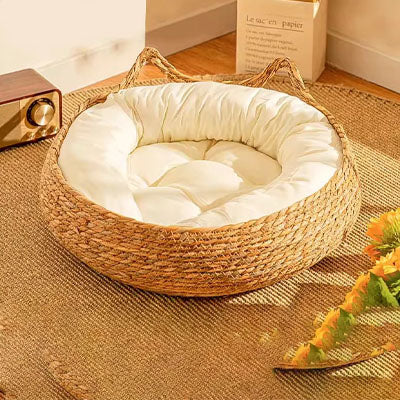 panier osier chat avec coussin et contour sur tapis jute