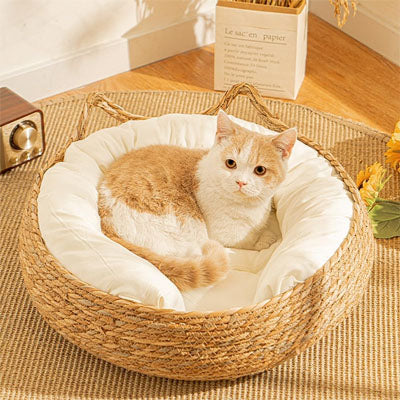 panier osier chat chat detendu paisiblement dans panier