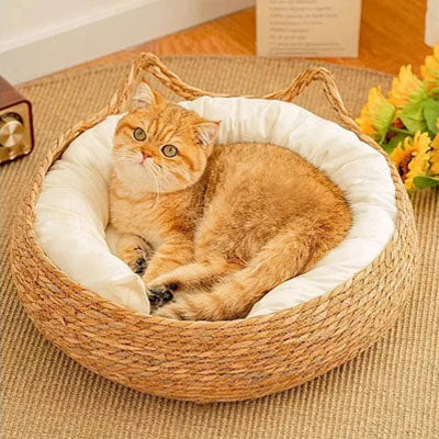 panier osier chat chat relaxant paisiblement dans panier