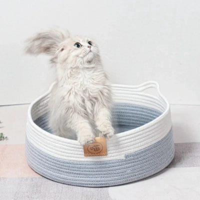 panier osier chat persan tenant ses bords