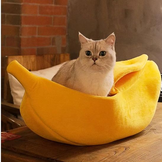 panier pour chat banana split chat blanc assis dedans