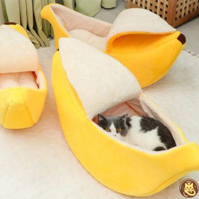 panier pour chat banana split chat caché dedans
